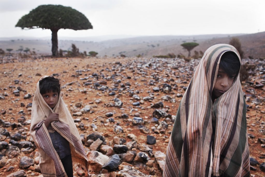 De la serie Socotra Island en Yemen
